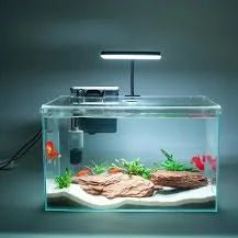 10 Gallon Community Starter Bundle
