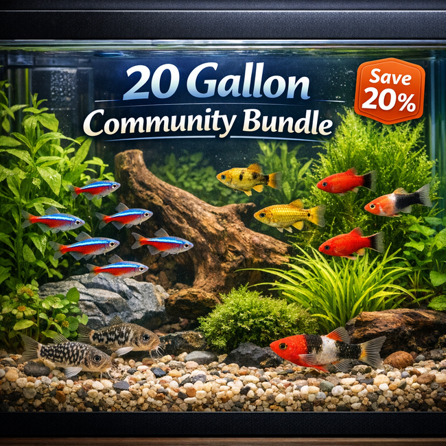 20 Gallon Community Bundle