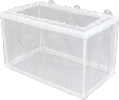 Platy Breeder Pack