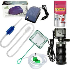 Beginner Aquarium Fish Bundle