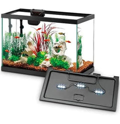 Beginner Community Tank Pack