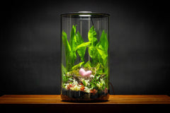 Bio Cylinder 200