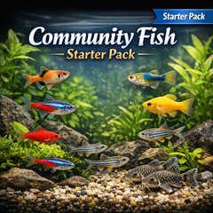 Community Fish Starter Pack