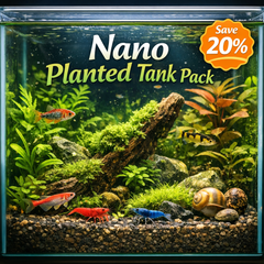 Plant Care Essentials Pack