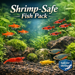 Shrimp Safe Community Fish Pack