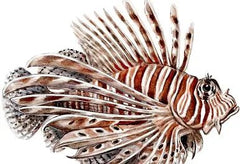 Devil Lionfish