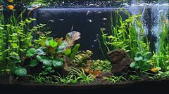 29 Gallon Community Bundle