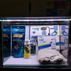 First Aquarium Starter Pack