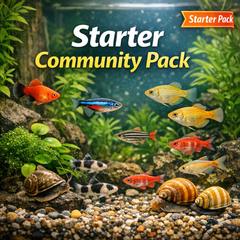 First Aquarium Starter Pack