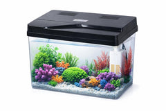 Kids First Fish Bundle