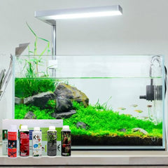 Nano Planted Tank Bundle