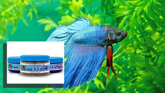 New Life Spectrum Betta - 70g Regular