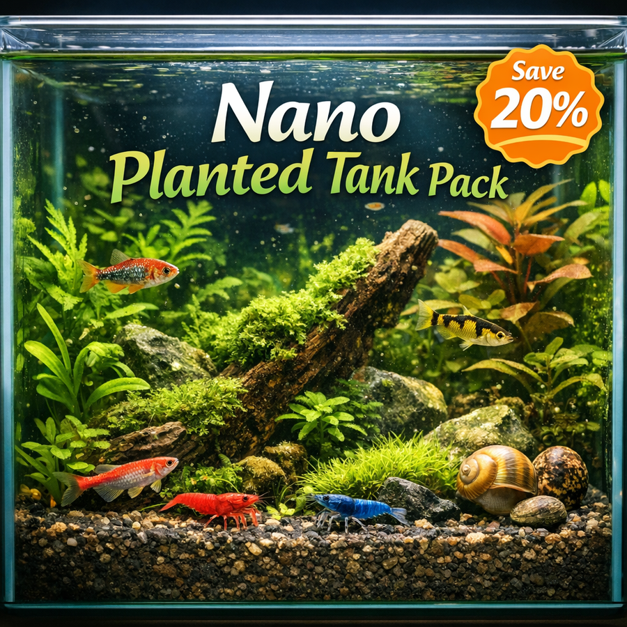 Starter Bundles
