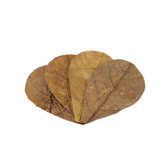Seachem Catappa Leaves - Small