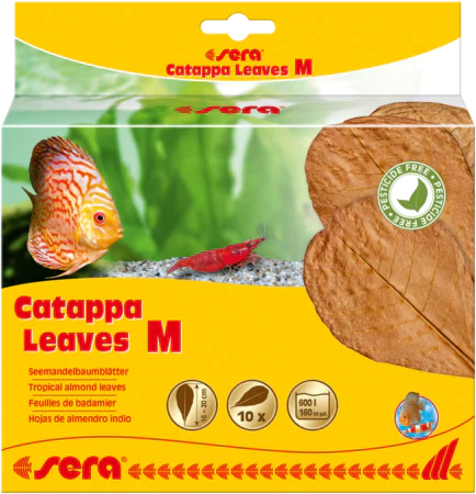 sera Catappa Leaves - Medium 6.3 - 7.9 in. (16-20cm) (10pcs.)