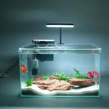 10 Gallon Community Starter Bundle