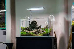 Shrimp and Snail Cleanup Pack