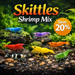 Skittles Shrimp Color Mix Bundle