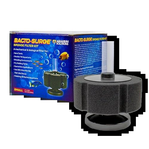 Filtration and water movement